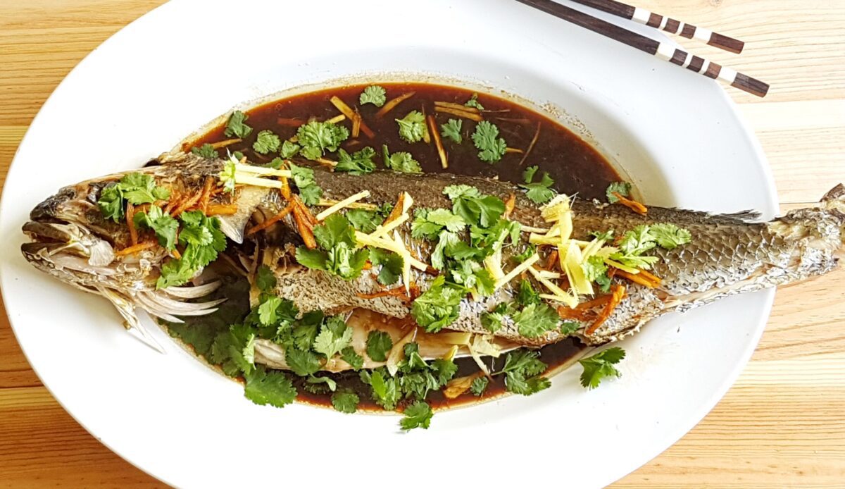 Corvina al vapor